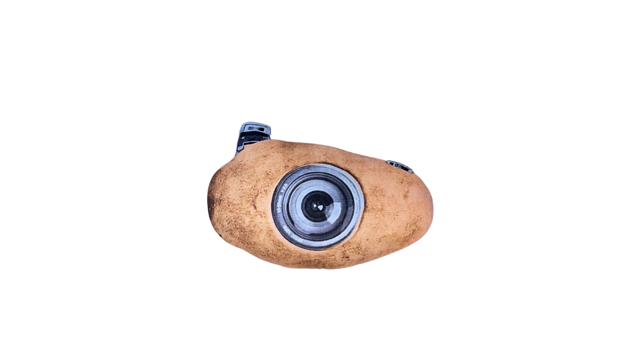 Potato 99 Plushy